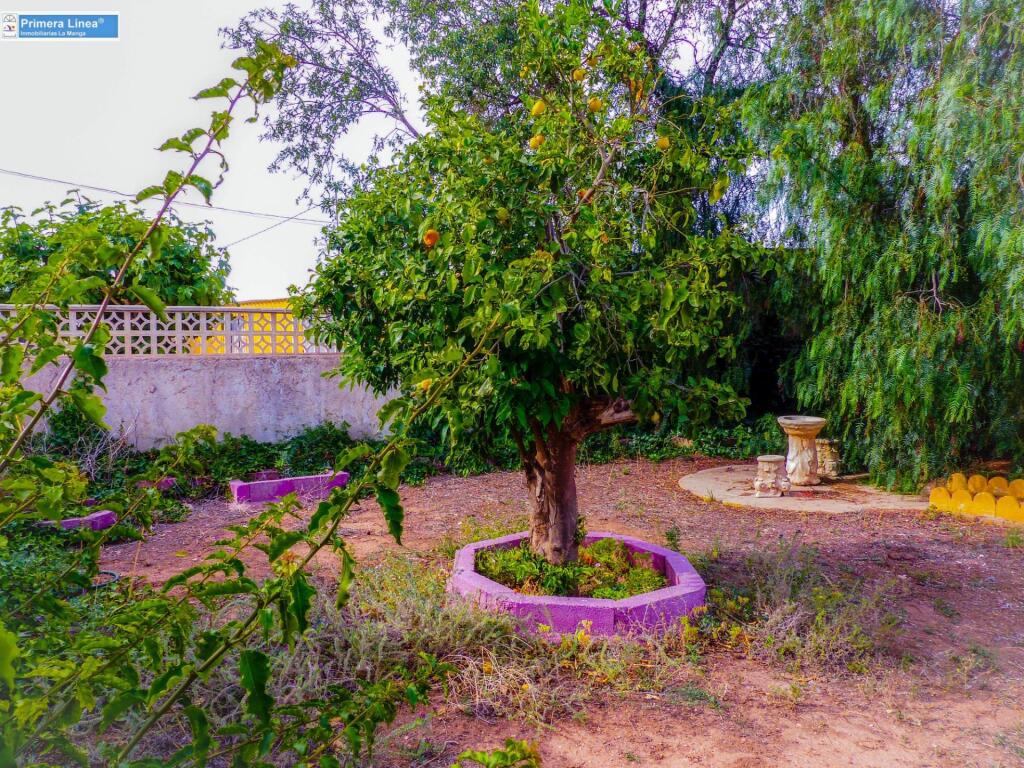 Imagen 3 de Venta de casa con 9 dormitorios y terreno de 11.000 m2 en el campo en Fuente Alamo