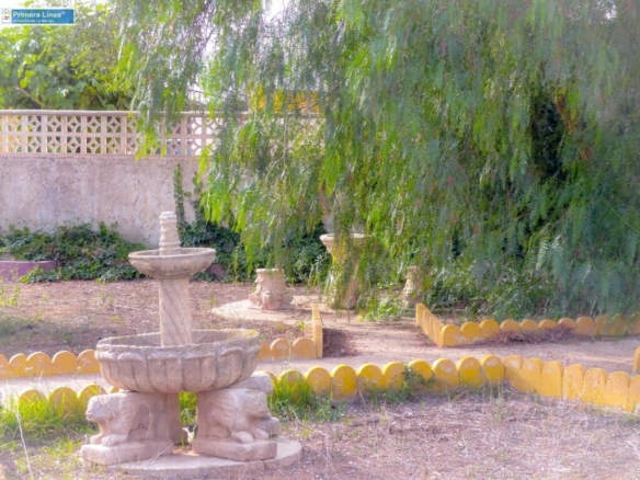 Imagen 4 de Venta de casa con 9 dormitorios y terreno de 11.000 m2 en el campo en Fuente Alamo