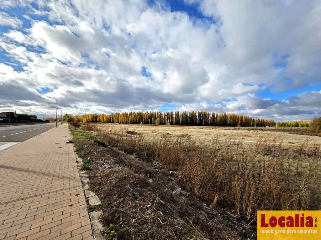 Imagen 2 de Suelo industrial en venta Renedo de Esgueva (Valladolid)