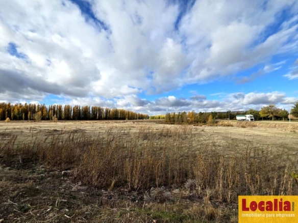 Imagen 3 de Suelo industrial en venta Renedo de Esgueva (Valladolid)