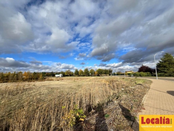 Imagen 4 de Suelo industrial en venta Renedo de Esgueva (Valladolid)