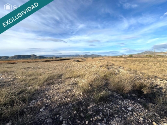 Imagen 3 de EXCLUSIVA OPORTUNIDAD – PARCELAS RÚSTICAS EN CASAS DE SANCHIS (MONOVAR)