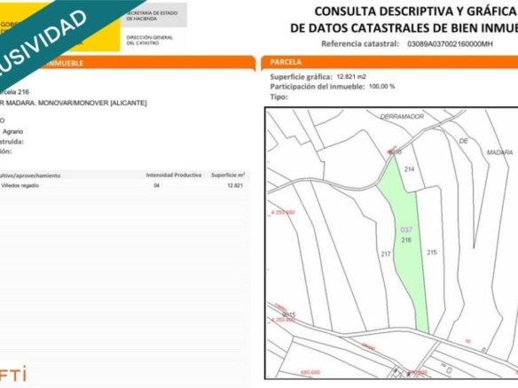 Imagen 4 de EXCLUSIVA OPORTUNIDAD – PARCELAS RÚSTICAS EN CASAS DE SANCHIS (MONOVAR)
