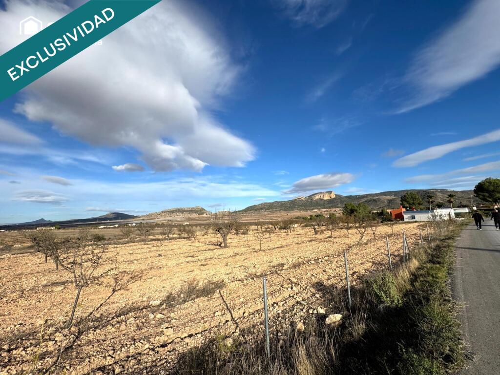 Imagen 4 de EXCLUSIVA OPORTUNIDAD – PARCELAS RÚSTICAS EN CASAS DE SANCHIS (MONOVAR)