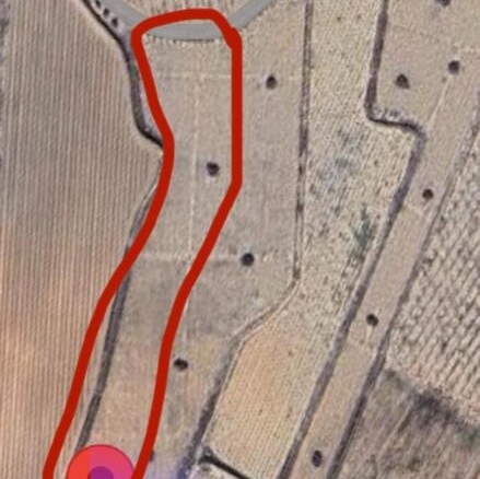 Imagen 2 de EXCLUSIVA OPORTUNIDAD – PARCELAS RÚSTICAS EN CASAS DE SANCHIS (MONOVAR)