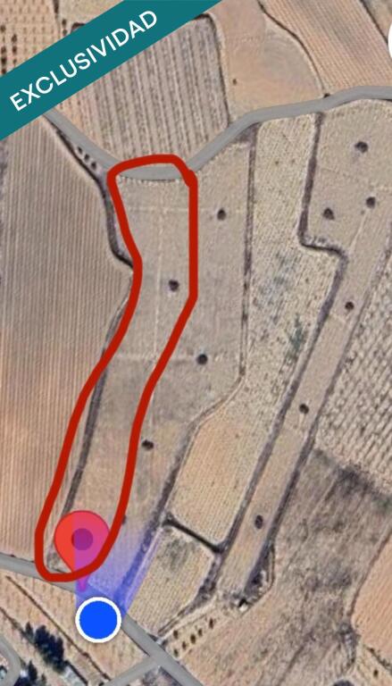 Imagen 2 de EXCLUSIVA OPORTUNIDAD – PARCELAS RÚSTICAS EN CASAS DE SANCHIS (MONOVAR) Imagen 2 de EXCLUSIVA OPORTUNIDAD – PARCELAS RÚSTICAS EN CASAS DE SANCHIS (MONOVAR)