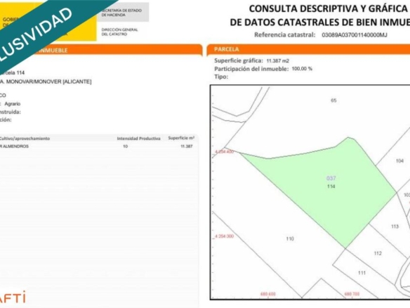 Imagen 3 de EXCLUSIVA OPORTUNIDAD – PARCELAS RÚSTICAS EN CASAS DE SANCHIS (MONOVAR)