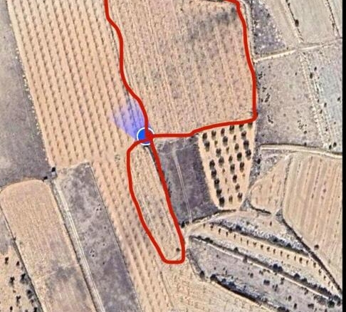 Imagen 1 de EXCLUSIVA OPORTUNIDAD – PARCELAS RÚSTICAS EN CASAS DE SANCHIS (MONOVAR)