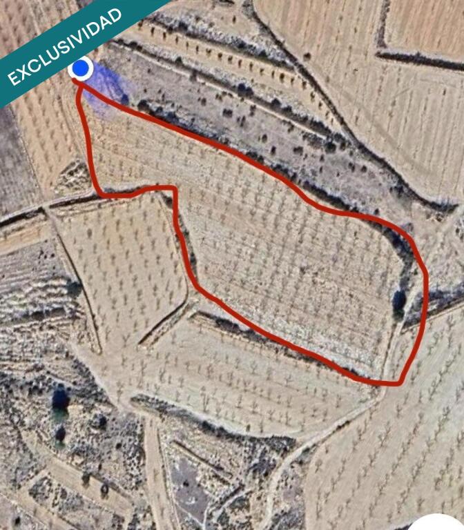 Imagen 2 de EXCLUSIVA OPORTUNIDAD – PARCELAS RÚSTICAS EN CASAS DE SANCHIS (MONOVAR)