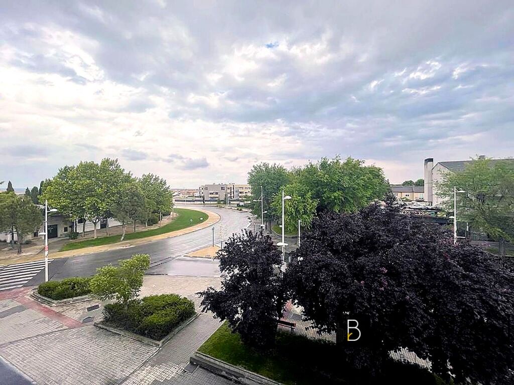 EN VILLANUEVA DE LA CAÑADA (MADRID).