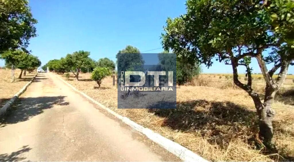 SAN JUAN DEL PUERTO!! DTI INMOBILIARIA.org SAN JUAN DEL PUERTO!! DTI INMOBILIARIA.org