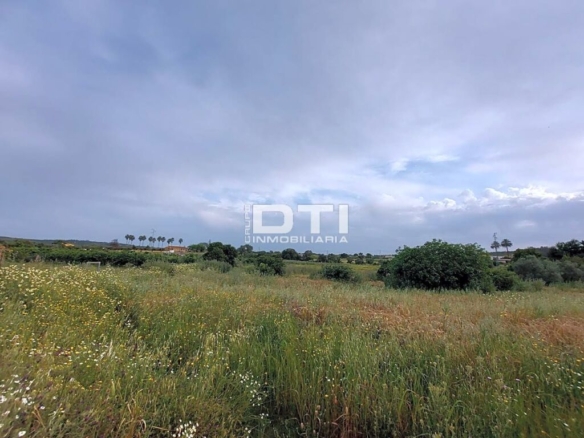 Imagen 2 de Parcela en San Bartolomé de la Torre a sólo 2Km del pueblo