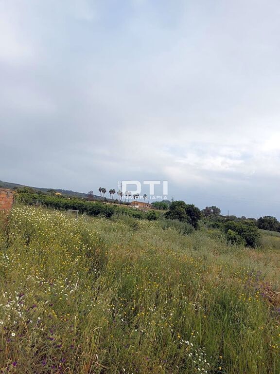 Imagen 3 de Parcela en San Bartolomé de la Torre a sólo 2Km del pueblo
