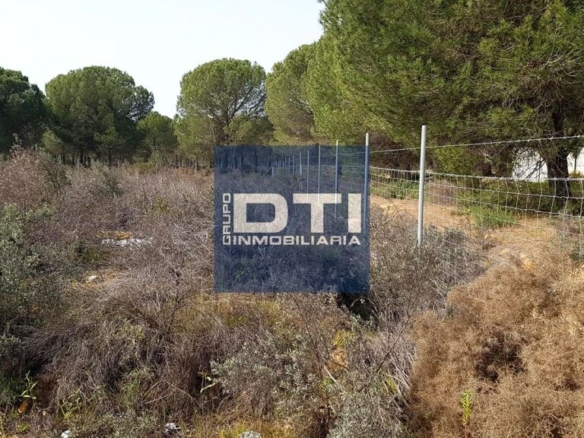 Imagen 3 de SE VENDE TERRENO INDUSTRIAL