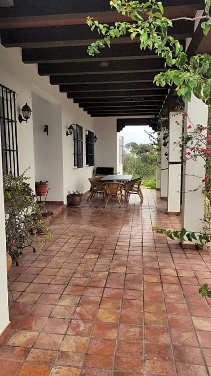 Imagen 2 de MAGNÍFICA FINCA UBICADA EN SAN SILVESTRE DE GUZMÁN CON MÁS DE 44.000 M2 DE PARCELA Y 250 M2 DE VIVIENDA Imagen 2 de MAGNÍFICA FINCA UBICADA EN SAN SILVESTRE DE GUZMÁN CON MÁS DE 44.000 M2 DE PARCELA Y 250 M2 DE VIVIENDA