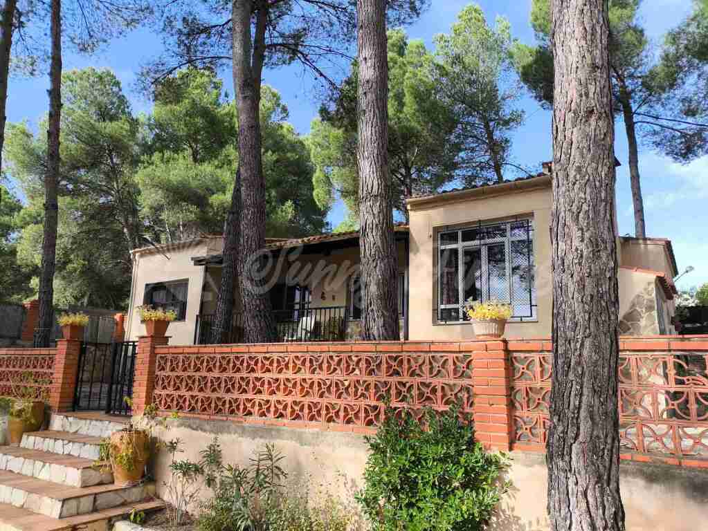 Imagen 1 de Casa-Chalet en Venta en Almansa Albacete