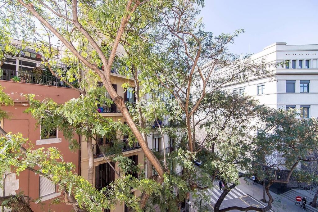 Imagen 2 de Edificio residencial completo junto al Arc de Triomf