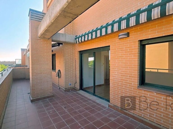 VILLANUEVA DE LA CAÑADA (MADRID).