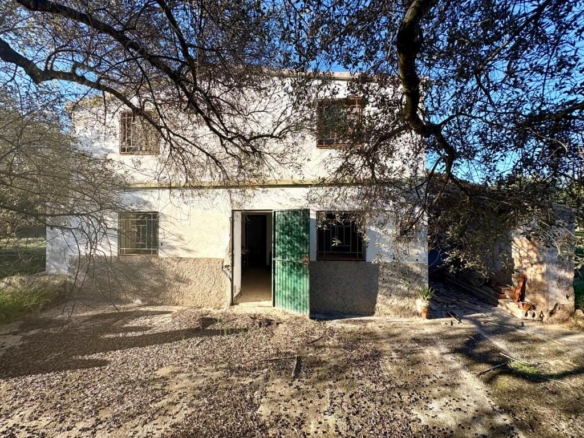 Imagen 2 de Casa de campo en heredad de olivos