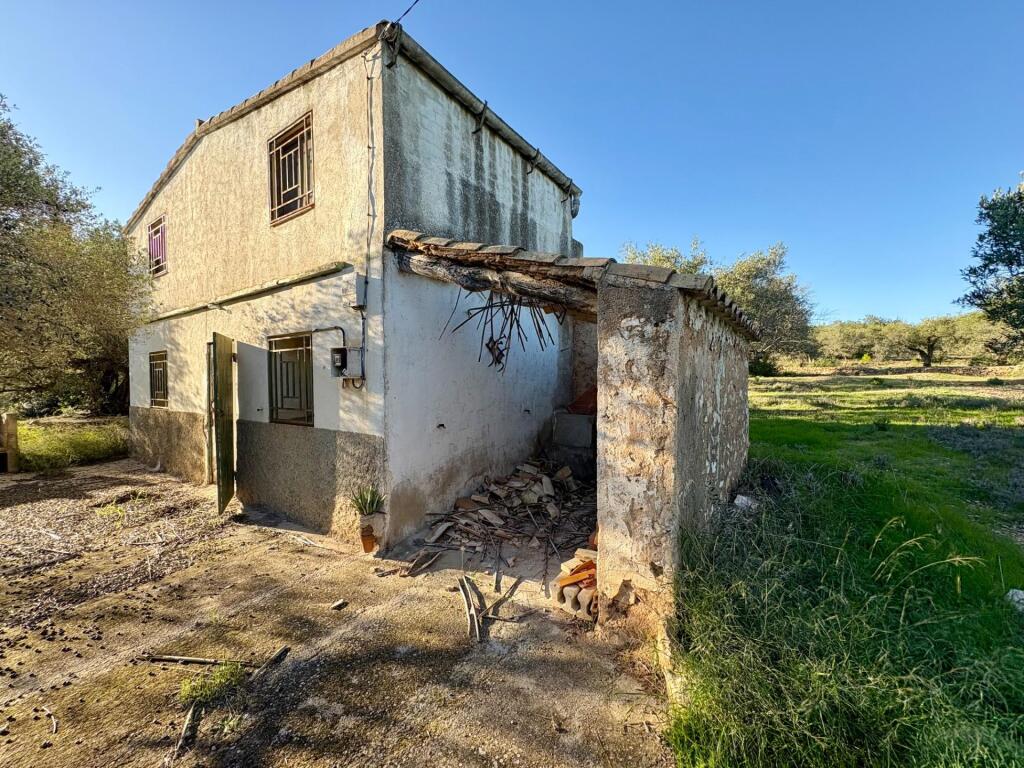 Imagen 3 de Casa de campo en heredad de olivos
