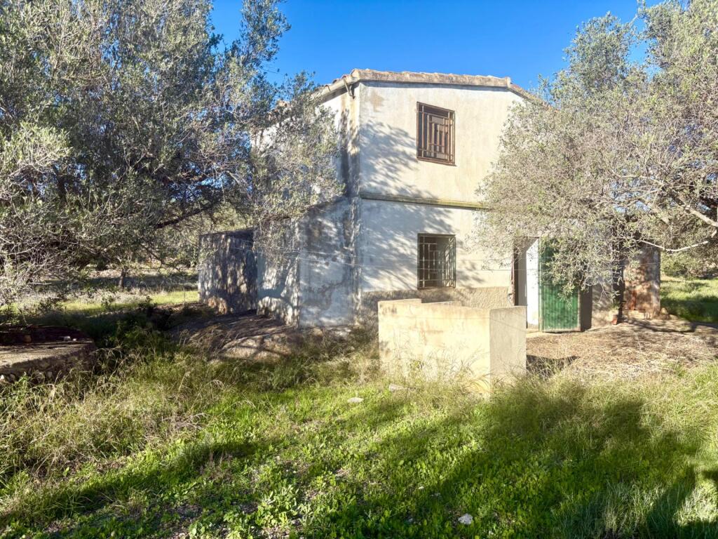 Imagen 1 de Casa de campo en heredad de olivos