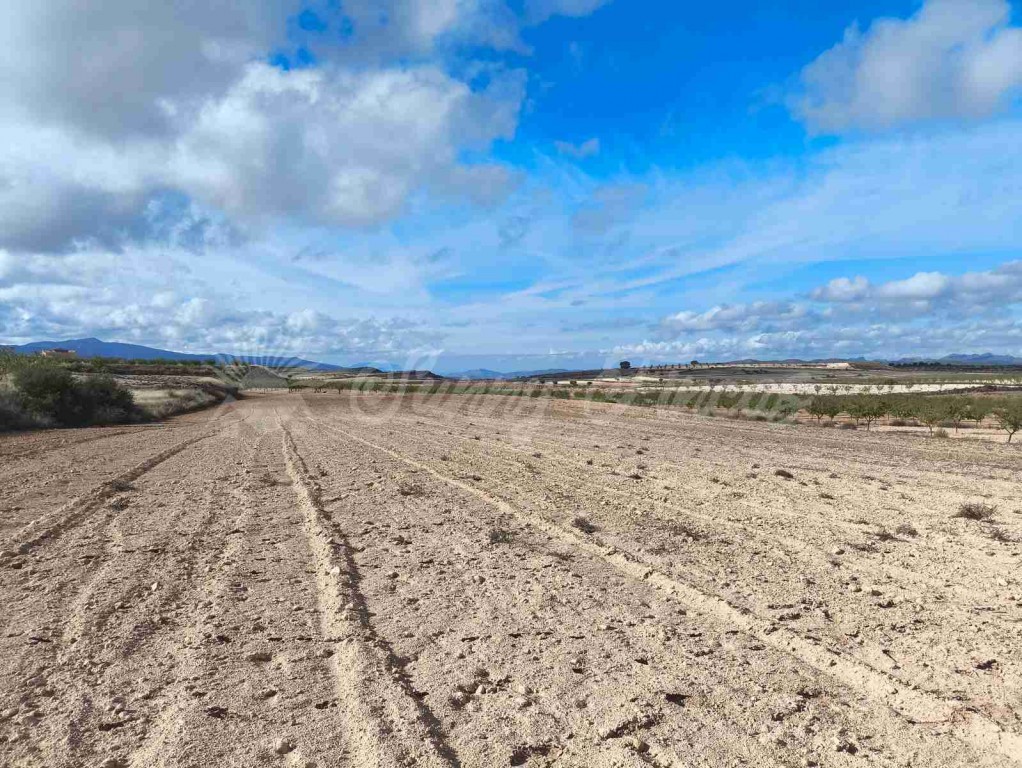 Imagen 2 de Suelo rústico en Venta en Jumilla Murcia