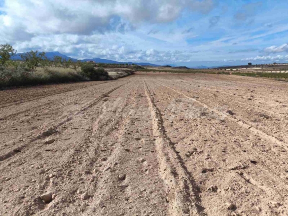 Imagen 1 de Suelo rústico en Venta en Jumilla Murcia