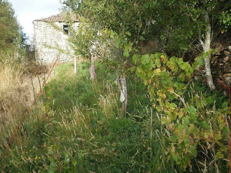 Imagen 2 de Casa de pueblo en Venta en Peroxa