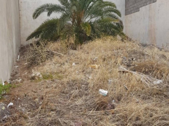 Imagen 2 de Piso de Obra Nueva en Venta en Palmas De Gran Canaria