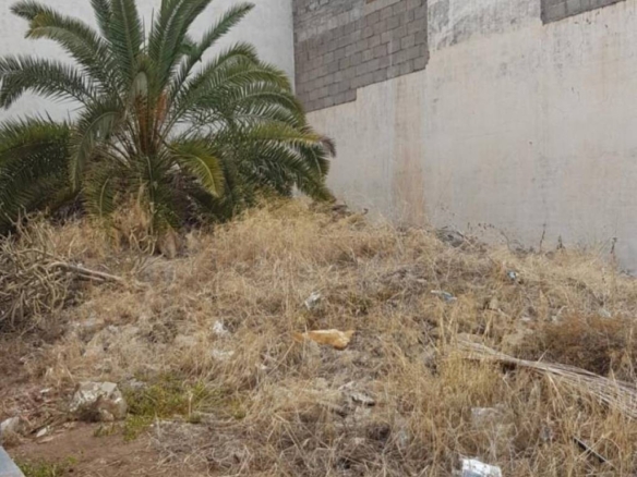 Imagen 1 de Piso de Obra Nueva en Venta en Palmas De Gran Canaria