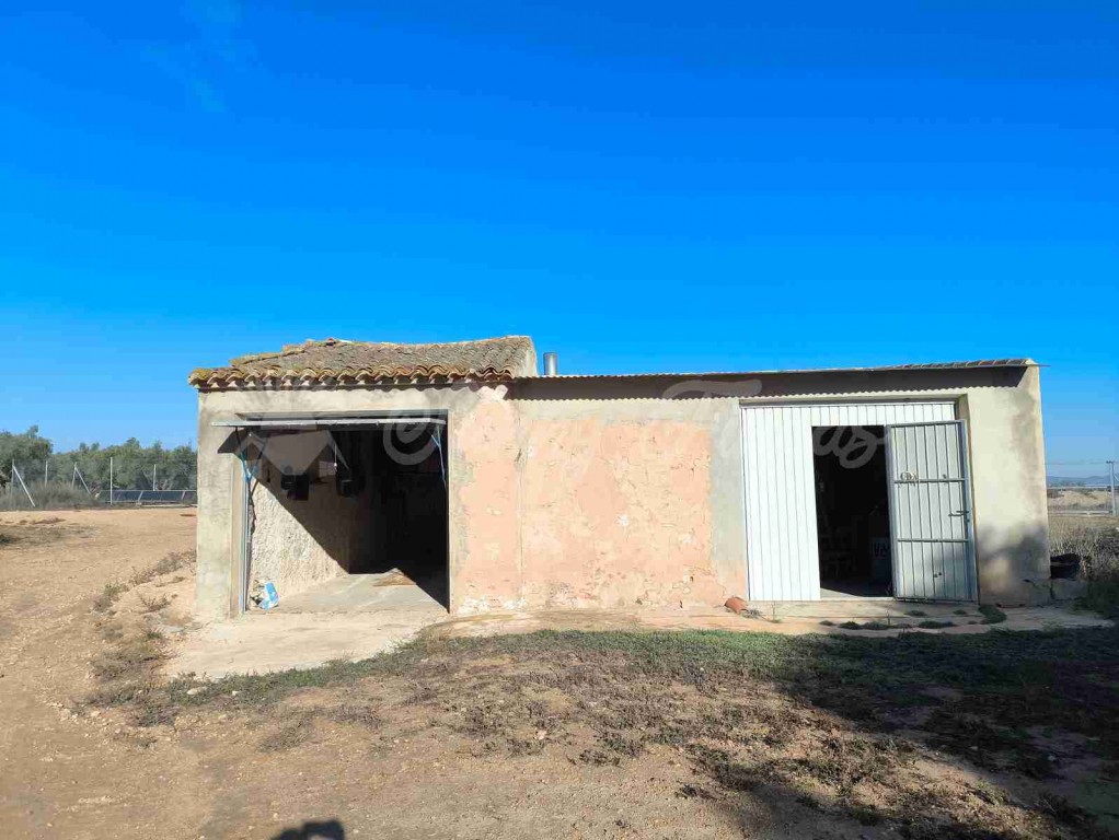 Imagen 2 de Casa de campo-Masía en Venta en Yecla Murcia