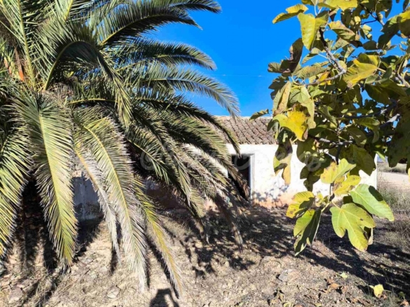 Imagen 4 de Suelo rústico en Venta en Yecla Murcia