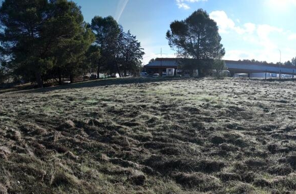 Imagen 3 de Terreno en Úbeda con 8.832m². SIN COMISIÓN DE COMPRA.