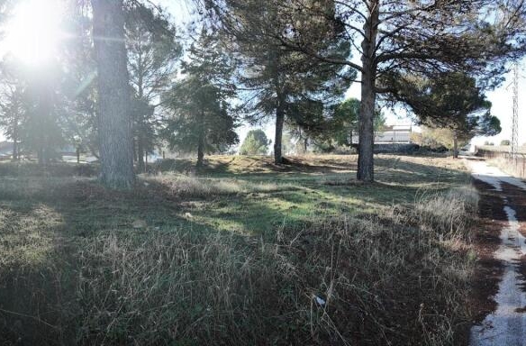 Imagen 4 de Terreno en Úbeda con 8.832m². SIN COMISIÓN DE COMPRA.