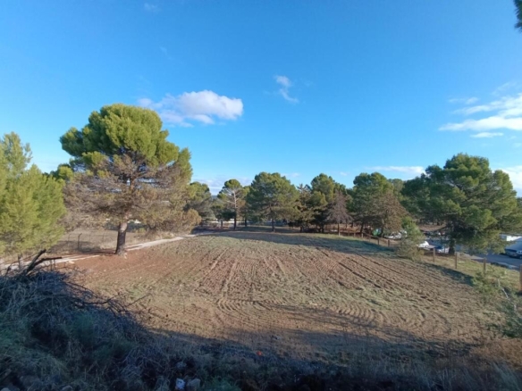 Imagen 1 de Terreno en Úbeda con 8.832m². SIN COMISIÓN DE COMPRA.