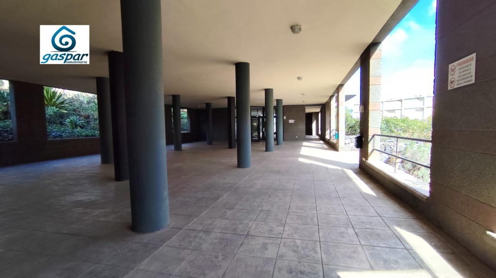 Imagen 2 de Piso en Alquiler en San Cristobal De La Laguna Santa Cruz de Tenerife Imagen 2 de Piso en Alquiler en San Cristobal De La Laguna Santa Cruz de Tenerife