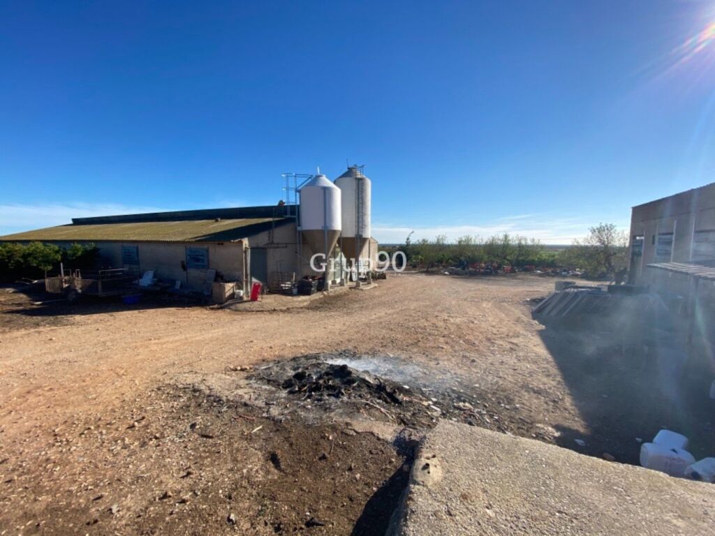 Imagen 2 de Granja en pleno funcionamiento cerca de Torreblanca Imagen 2 de Granja en pleno funcionamiento cerca de Torreblanca