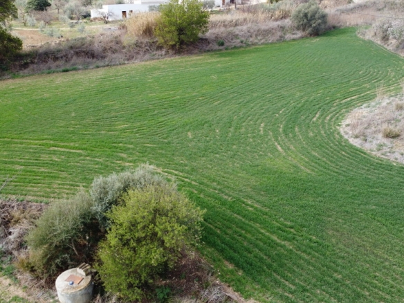 Imagen 4 de Casa de campo-Masía en Venta en Teba Málaga