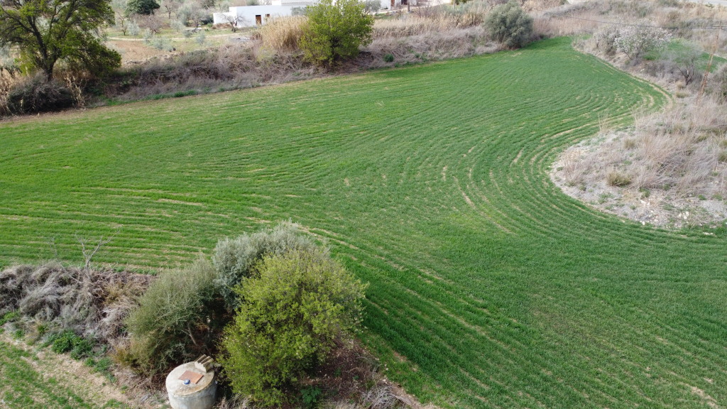 Imagen 4 de Casa de campo-Masía en Venta en Teba Málaga