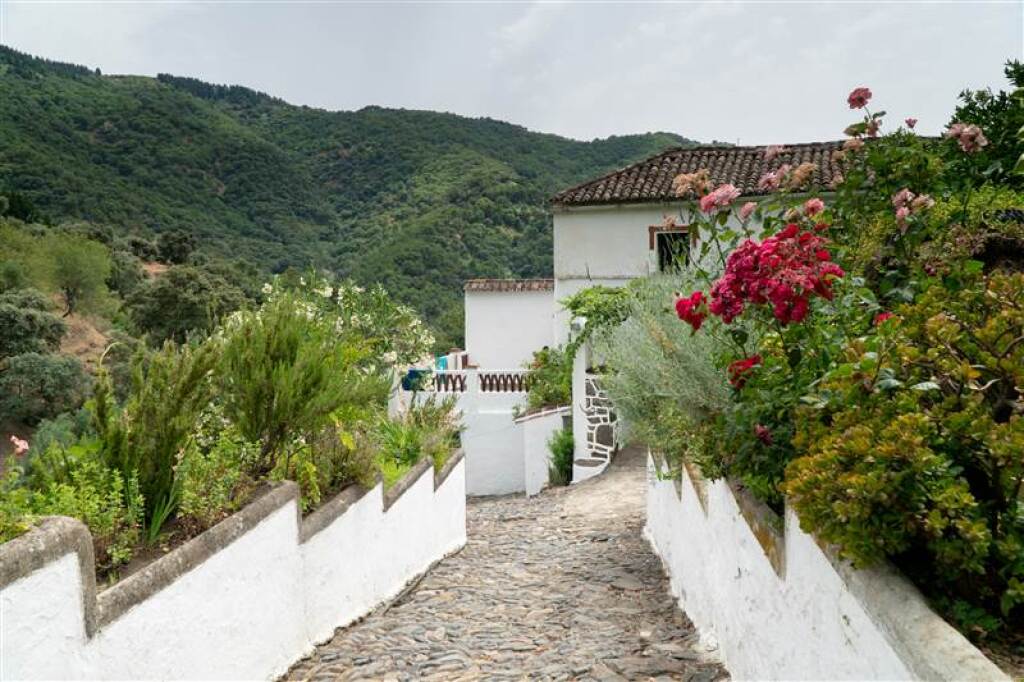 Imagen 4 de Casa de campo-Masía en Venta en Jubrique Málaga