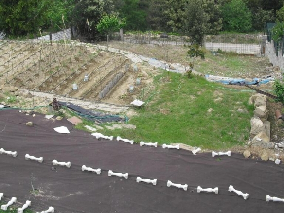 Imagen 1 de SOLAR EN VENTA EN CASTELLGALI