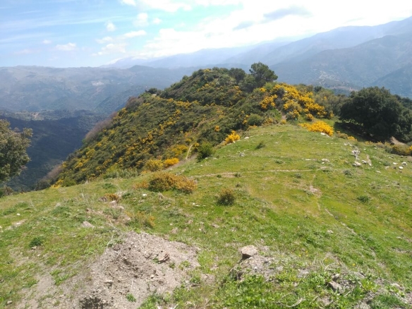 Imagen 4 de Parcela en Venta en Benalauria Málaga