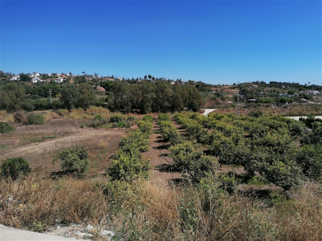Imagen 4 de Parcela en Venta en Estepona Málaga Imagen 4 de Parcela en Venta en Estepona Málaga