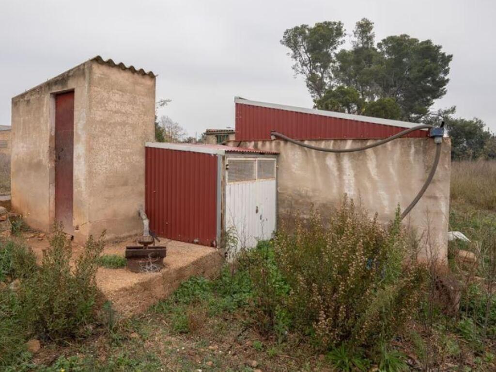 Imagen 4 de Finca con caseta de campo muy cerca del pueblo Imagen 4 de Finca con caseta de campo muy cerca del pueblo