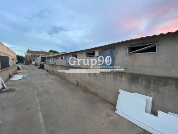 Imagen 4 de Granja para explotación de cerdos en Santa Bárbara