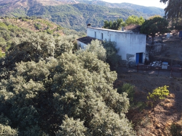 Imagen 2 de Suelo rústico en Venta en Farajan Málaga