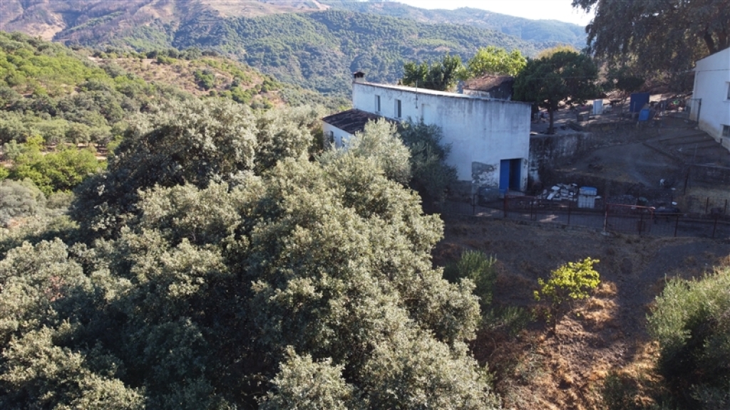 Imagen 2 de Suelo rústico en Venta en Farajan Málaga