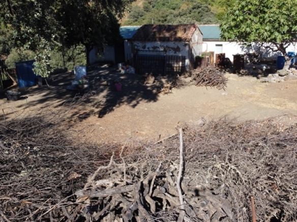 Imagen 3 de Suelo rústico en Venta en Farajan Málaga