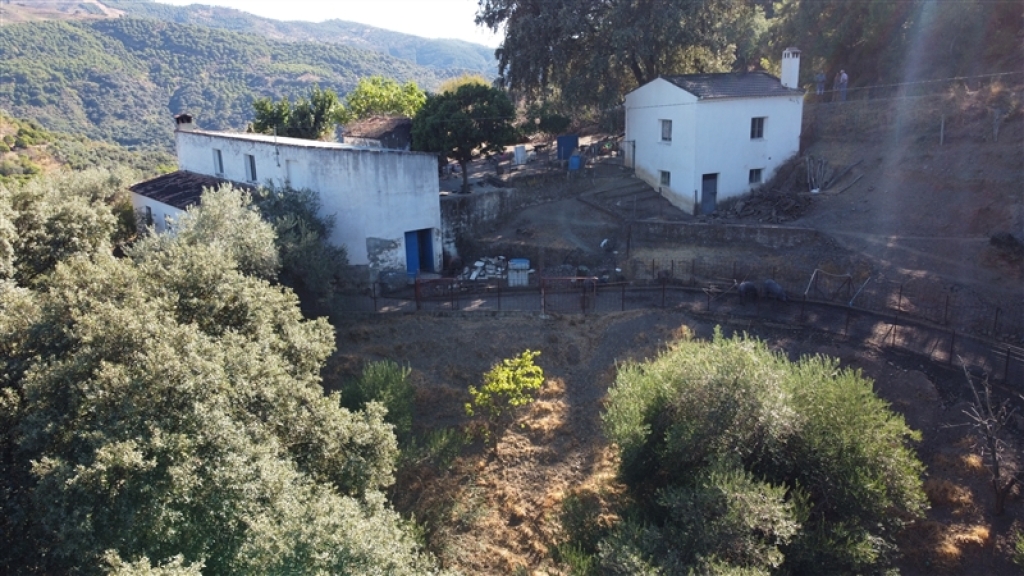 Imagen 1 de Suelo rústico en Venta en Farajan Málaga