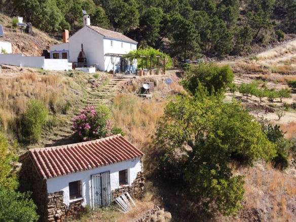 Imagen 4 de Casa de campo-Masía en Venta en Istan Málaga